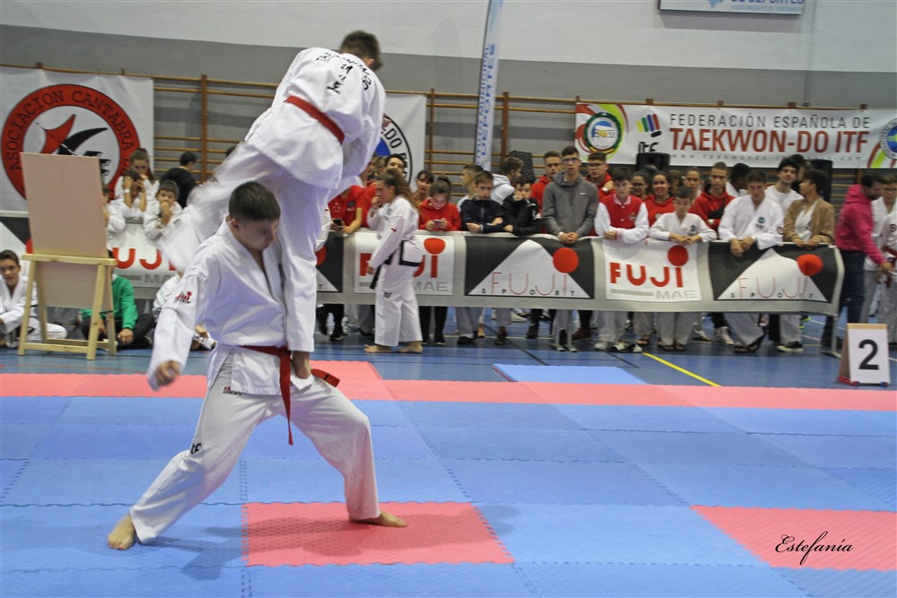 Copa Seul 2018 (356).jpg